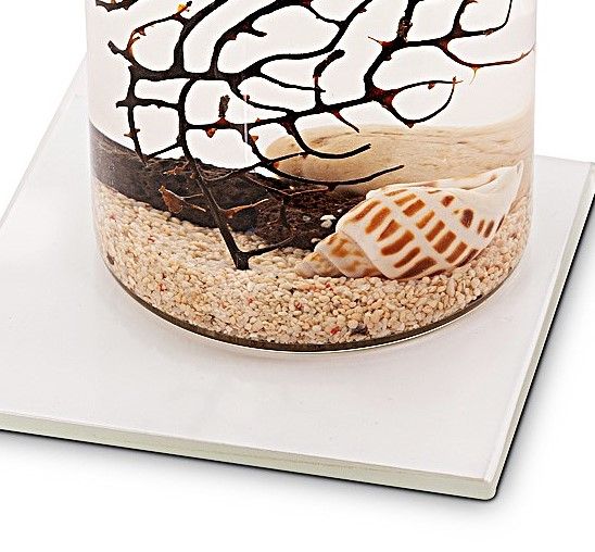 Detalle-de-biosfera sobre-peana-de-cristal- cuadrada