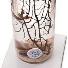 detalles-ecosistemas biosfera-imán-limpiador-y-peana-cuadrada