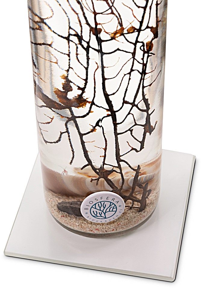 detalles-ecosistemas biosfera-imán-limpiador-y-peana-cuadrada