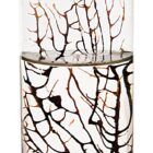 Detalles de camarones un Ecosistema Biosfera