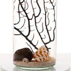 Detalle-de-peana-de- cristal-en-un -ecosistema-Biosfera- autosostenible