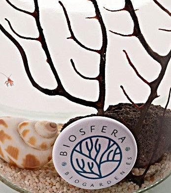 Detalle-de-imán-limpiador- en ecosistema -biosfera