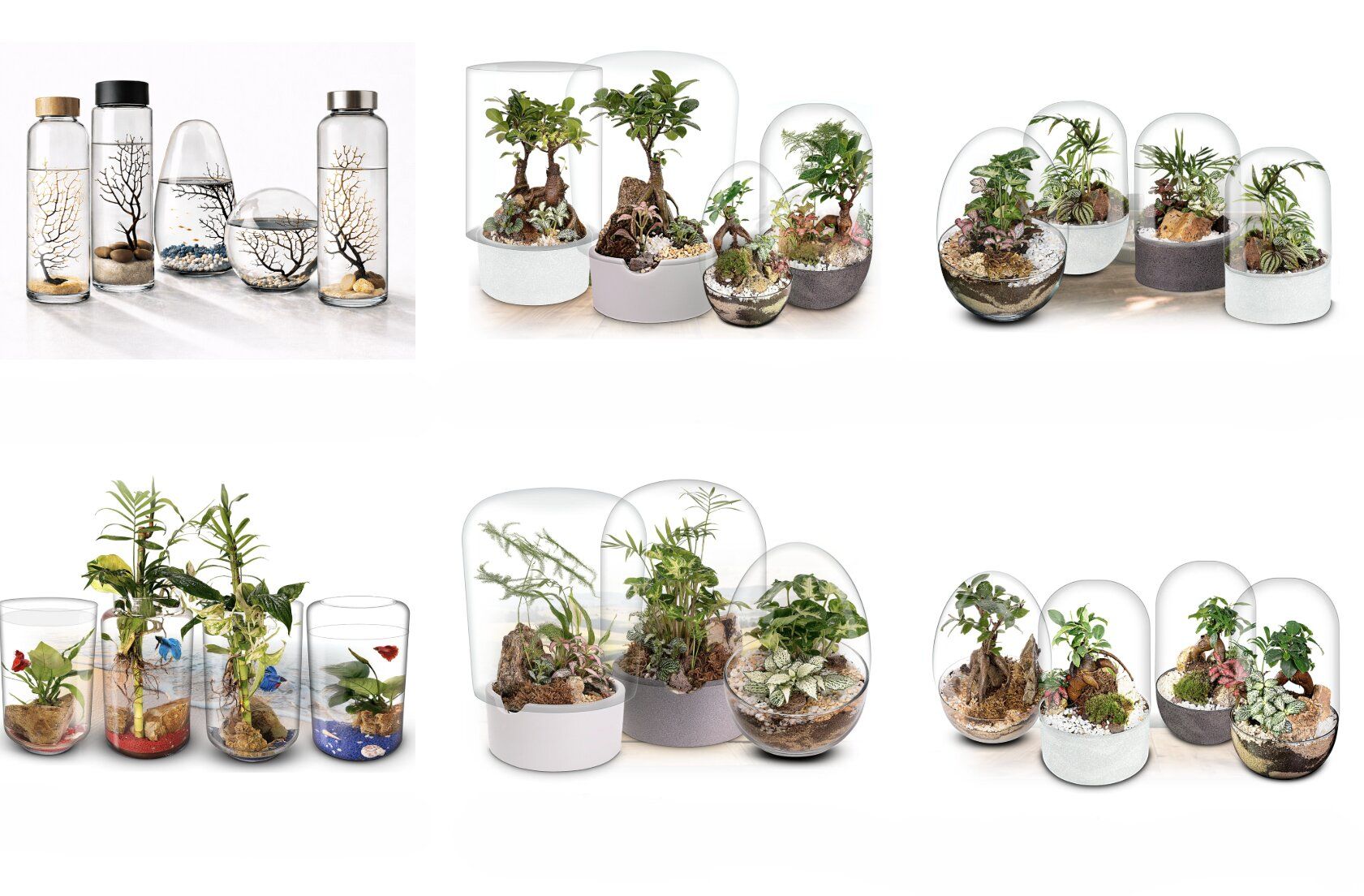 BIOGARDEN 2026: la revolución natural de los ecosistemas y terrarios de nueva generación