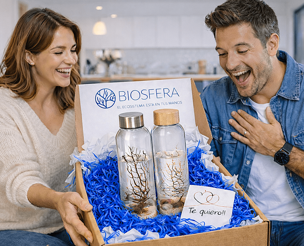 Ecosistemas Bonsái DUO y Ecosistemas Biosfera: el regalo perfecto para San Valentín