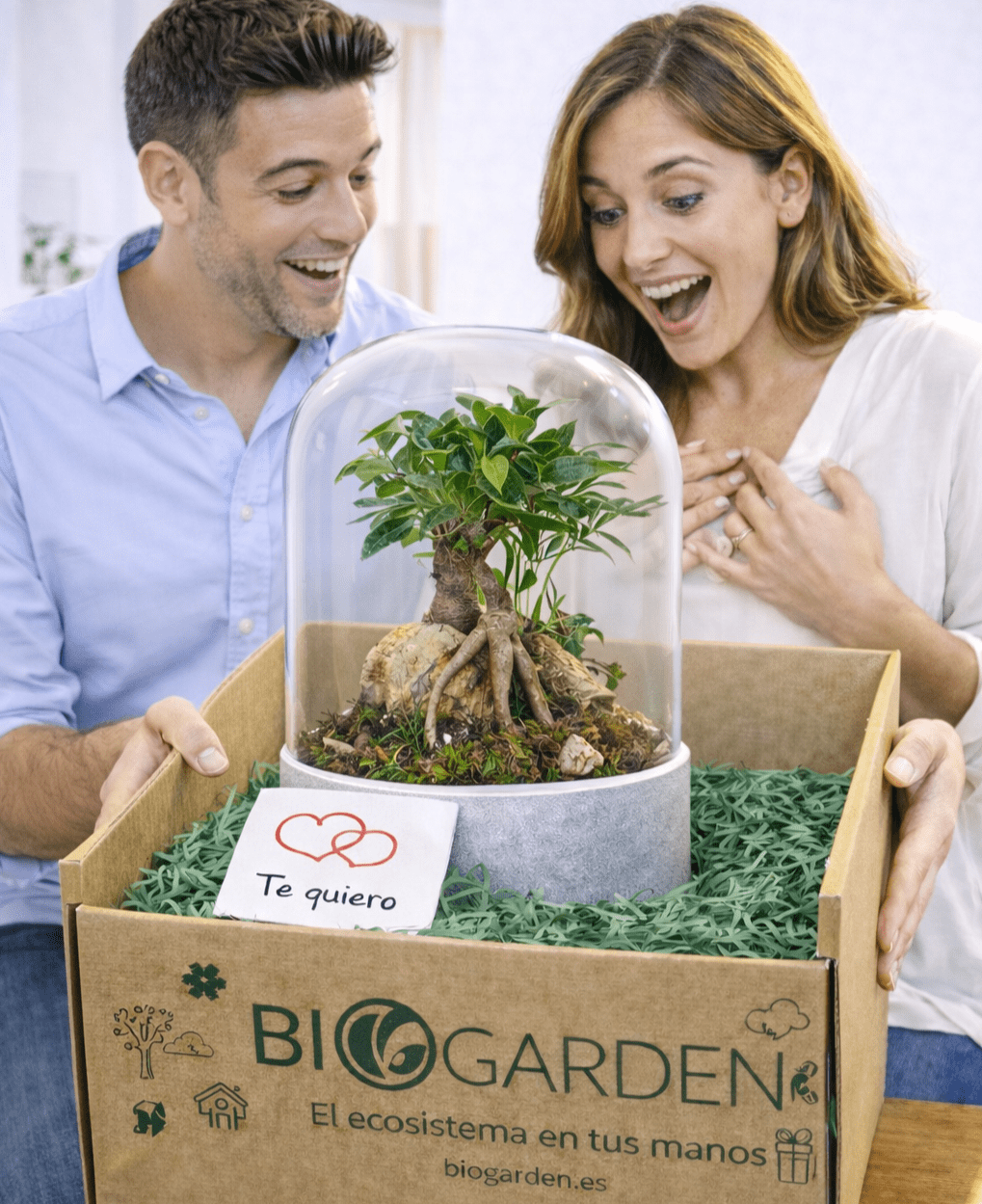 Ecosistema Bonsái DUO: el regalo perfecto que sigue creciendo con el tiempo